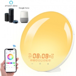 Sunrise Alarm Clock, Smart Wake-up Light Compatible with Alexa, Dual Alarms with FM Radio, Snooze Function for Heavy Sleepers, Adults&Kids